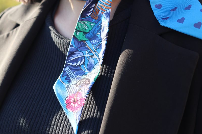 Hermès Twilly Jungle Love Blue Scarf 100% Silk - Image 5
